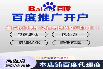 行业领先企业的SEM竞价推广策略揭秘
